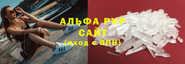 дмт Ладушкин