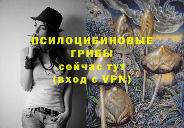 дмт Ладушкин