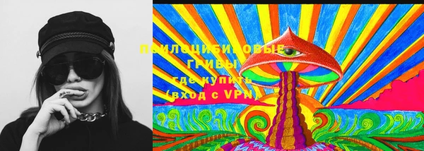 дмт Ладушкин