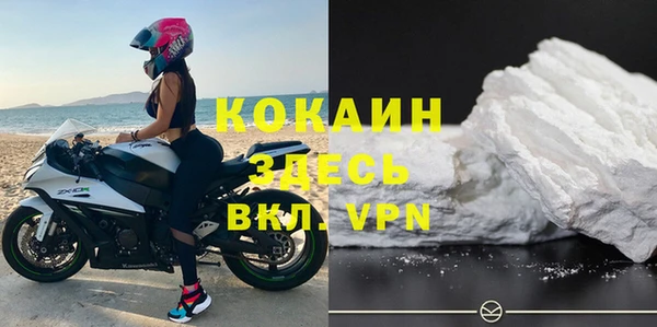 дмт Ладушкин