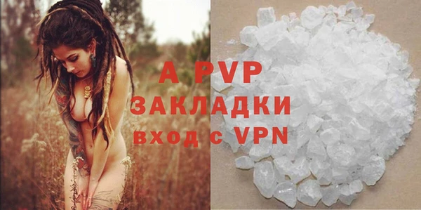 ПСИЛОЦИБИНОВЫЕ ГРИБЫ Лабытнанги