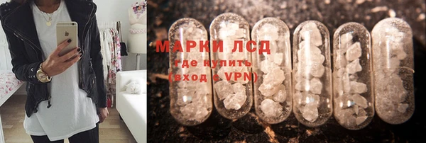 ПСИЛОЦИБИНОВЫЕ ГРИБЫ Лабытнанги