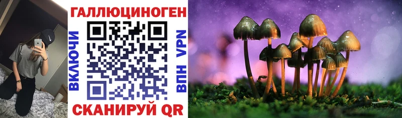Псилоцибиновые грибы мицелий Горячеводский